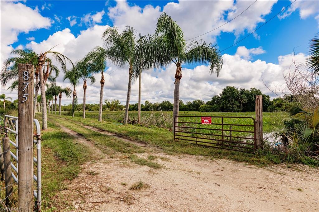 Acreage Header MLS 224082034 - 224082034 1